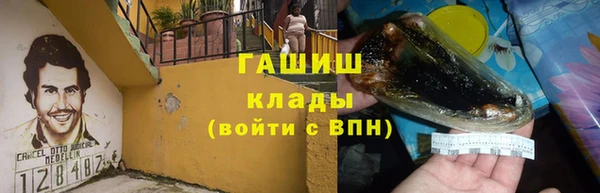 гашик Аркадак