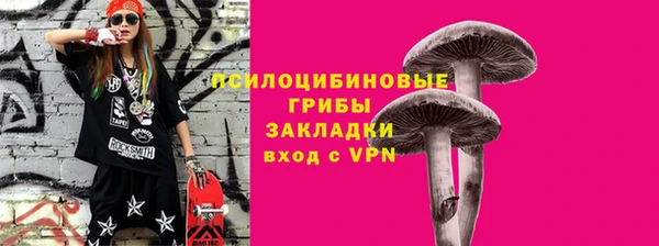 хмурый Арсеньев