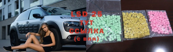 гашик Аркадак
