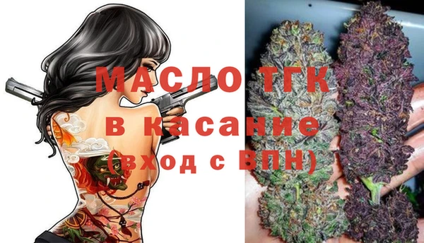 гашик Аркадак