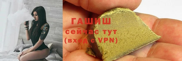 хмурый Арсеньев
