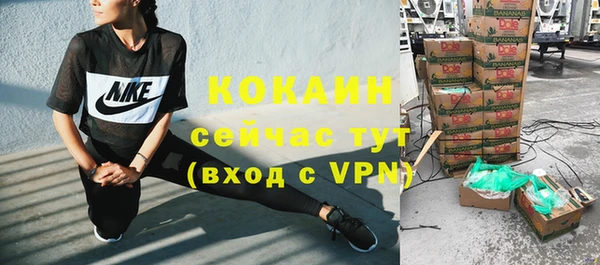 гашик Аркадак