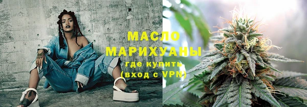 хмурый Арсеньев