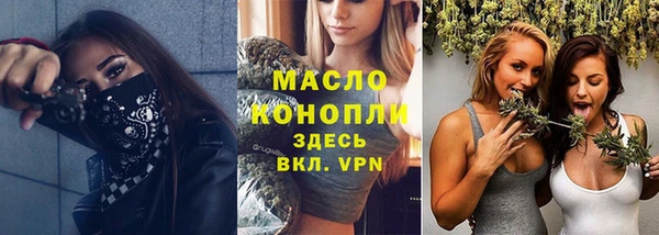 хмурый Арсеньев