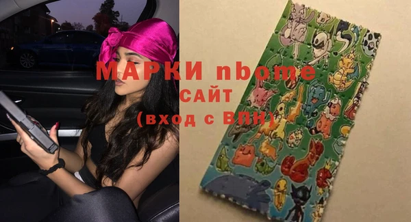 хмурый Арсеньев