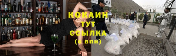 гашик Аркадак