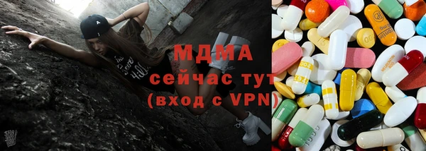гашик Аркадак